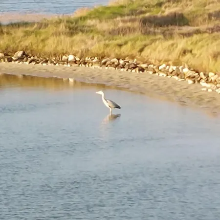 Confort Et Relax Ile De Noirmoutier By Interhome La Guérinière