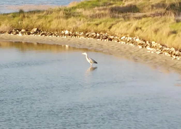 Confort Et Relax Ile De Noirmoutier By Interhome La Guérinière