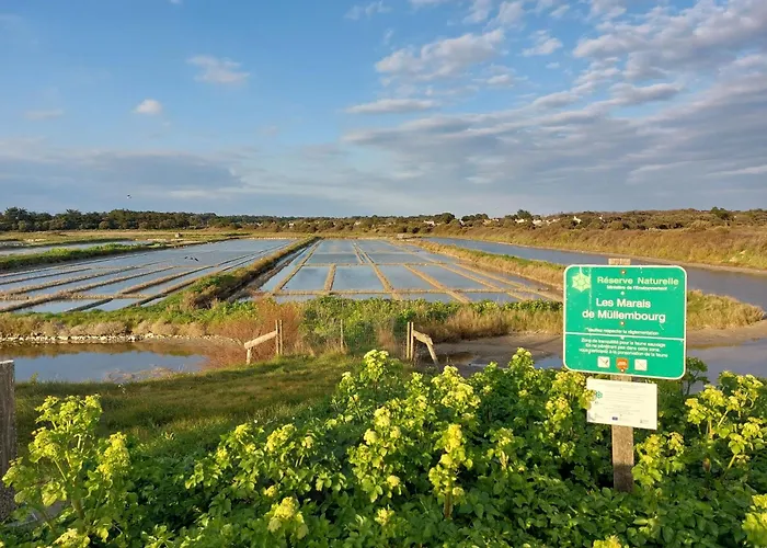 Confort Et Relax Ile De Noirmoutier By Interhome * La Guérinière